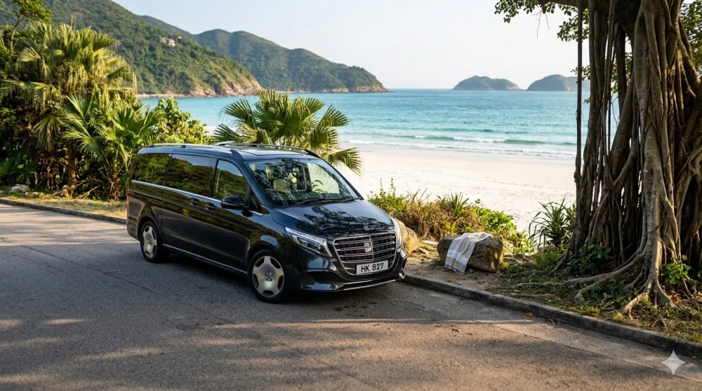 泰加旅運 Tiger Limo 車廂座椅